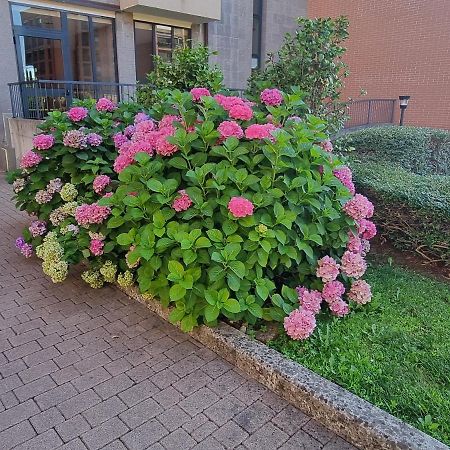 La Casetta Di Grazia E Nino Apartment Buccinasco Bagian luar foto