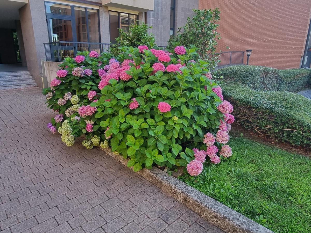 La Casetta Di Grazia E Nino Apartment Buccinasco Bagian luar foto